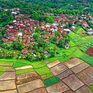 Green village wallpaper