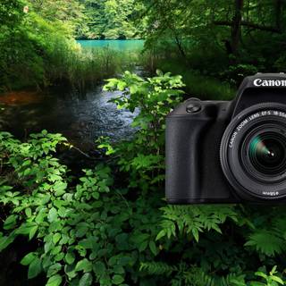 Canon 200d wallpaper