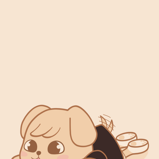 Skzoo iPhone hd wallpaper