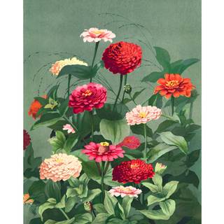 Aesthetic posters wallpaper