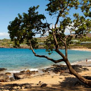 Lanai Hawaii wallpaper