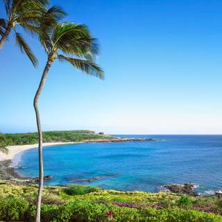 Lanai Hawaii wallpaper