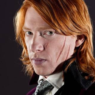 Bill Weasley wallpaper