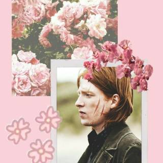 Bill Weasley wallpaper