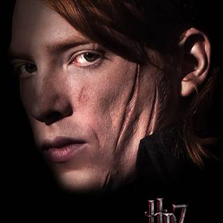 Bill Weasley wallpaper