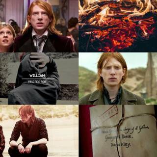 Bill Weasley wallpaper