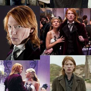 Bill Weasley wallpaper