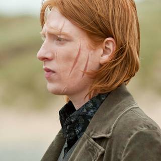 Bill Weasley wallpaper