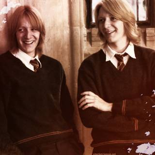 Bill Weasley wallpaper