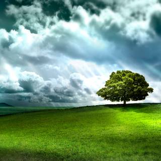 Asus green wallpaper