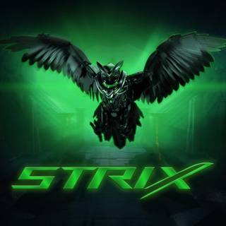 Asus green wallpaper