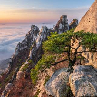 Mountainside wallpaper