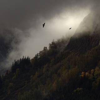 Mountainside wallpaper