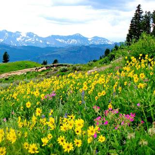 Mountainside wallpaper