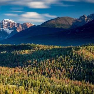 Mountainside wallpaper