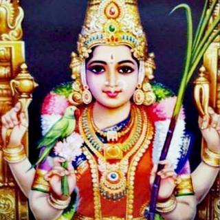 Lalitha Ammavaru wallpaper