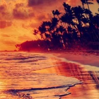 Beachy aesthetic wallpaper