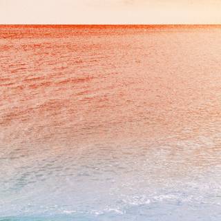 Beachy aesthetic wallpaper
