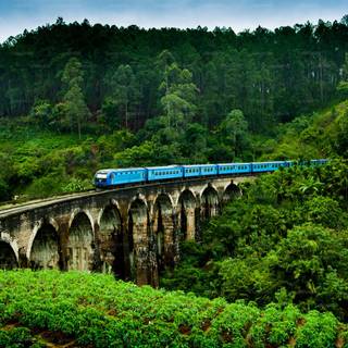 Hill Country Sri Lanka wallpaper
