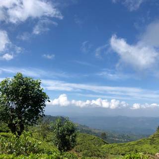 Hill Country Sri Lanka wallpaper