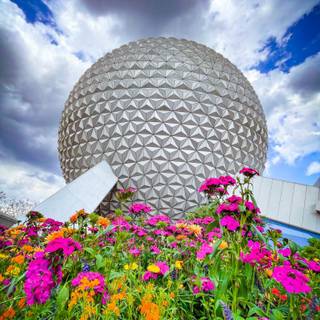 Disney Epcot wallpaper