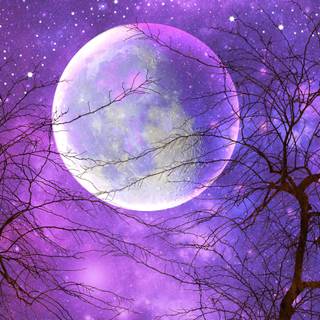 Moon in sky wallpaper