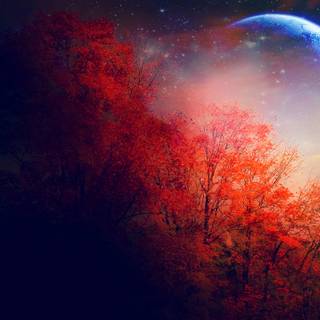 Moon in sky wallpaper