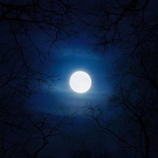 Moon in sky wallpaper