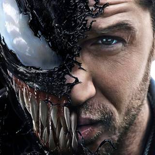 Venom HD phone wallpaper
