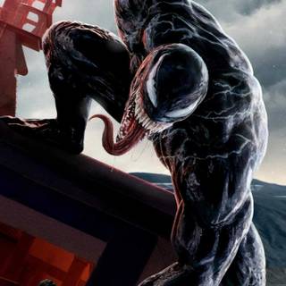 Venom HD phone wallpaper