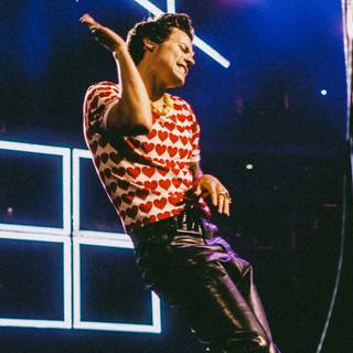 Harry Styles desktop Love On Tour wallpaper