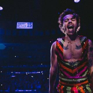 Harry Styles desktop Love On Tour wallpaper