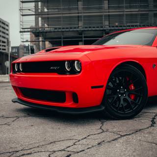 Hellcat phone wallpaper