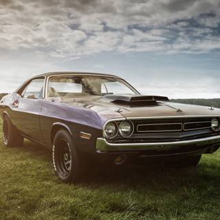 Dodge Challenger 4k wallpaper