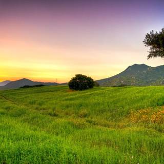 1920x1080 summer landscape wallpaper