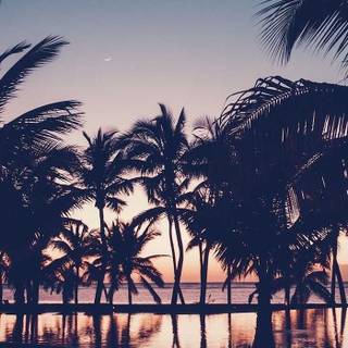 Cute summer sunset wallpaper