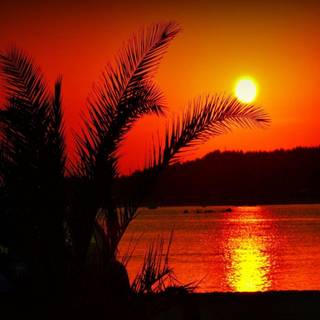 Cute summer sunset wallpaper