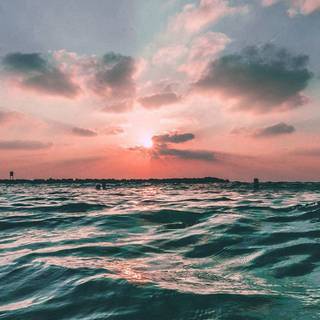 Cute summer sunset wallpaper