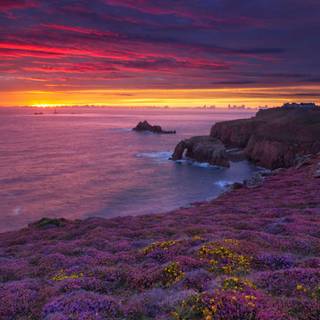 Cute summer sunset wallpaper