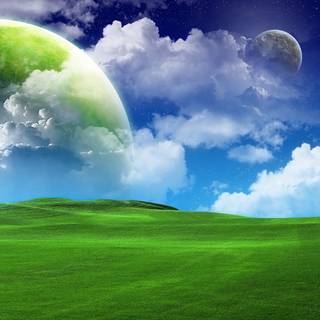 Green grass summer wallpaper