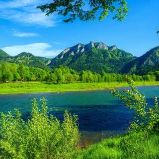 Green grass summer wallpaper