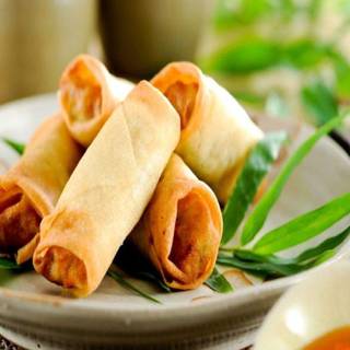 Vegetable spring roll wallpaper