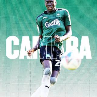 Plymouth Argyle F.C. wallpaper