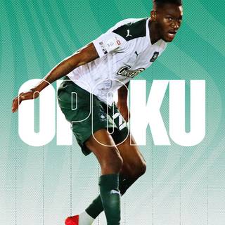Plymouth Argyle F.C. wallpaper