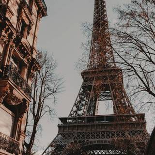 Old Paris wallpaper