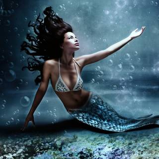 Black Mermaid wallpaper