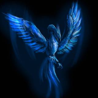 Water Phoenix wallpaper