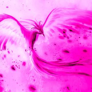 Pink Phoenix wallpaper