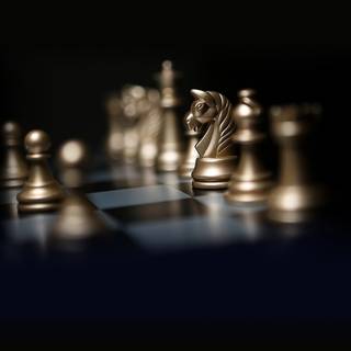 Chess horse wallpaper