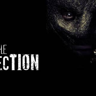 Movies collection wallpaper